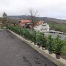 397562653_330664369568143_9197131809636719504_n