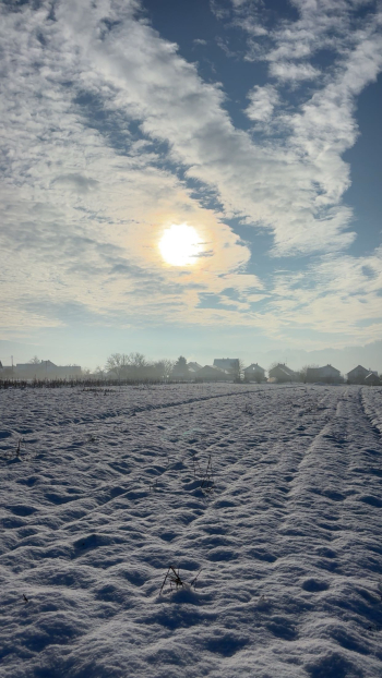 Tonka Hajnić 8.c. – Zimska idila